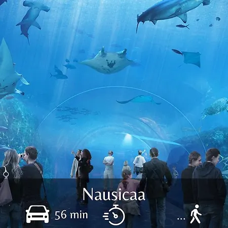 Lush - Centre-ville Apartment Dunkirk