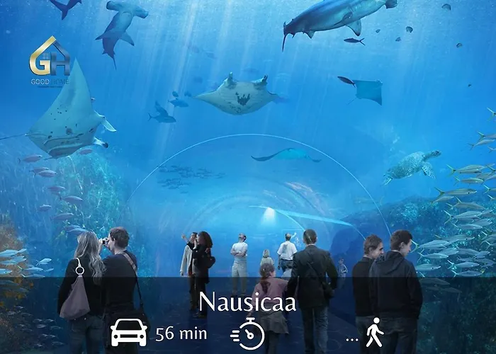 Lush - Centre-ville Apartment Dunkirk